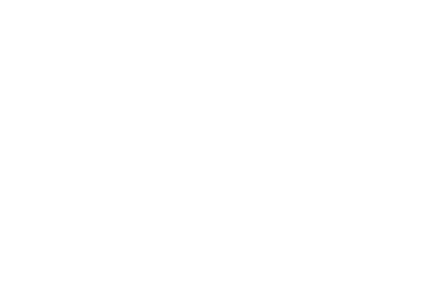 Sarah J Hunter Logo
